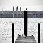 Embrace life’s changes and new beginnings with a move from Brooklyn to Nyack. Reflecting on milestones, both personal and professional, this story reminds us how quickly life can shift perspectives, opening doors to fresh opportunities.