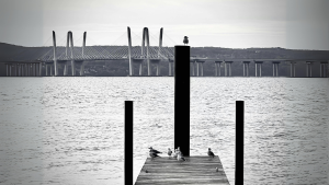 Embrace life’s changes and new beginnings with a move from Brooklyn to Nyack. Reflecting on milestones, both personal and professional, this story reminds us how quickly life can shift perspectives, opening doors to fresh opportunities.