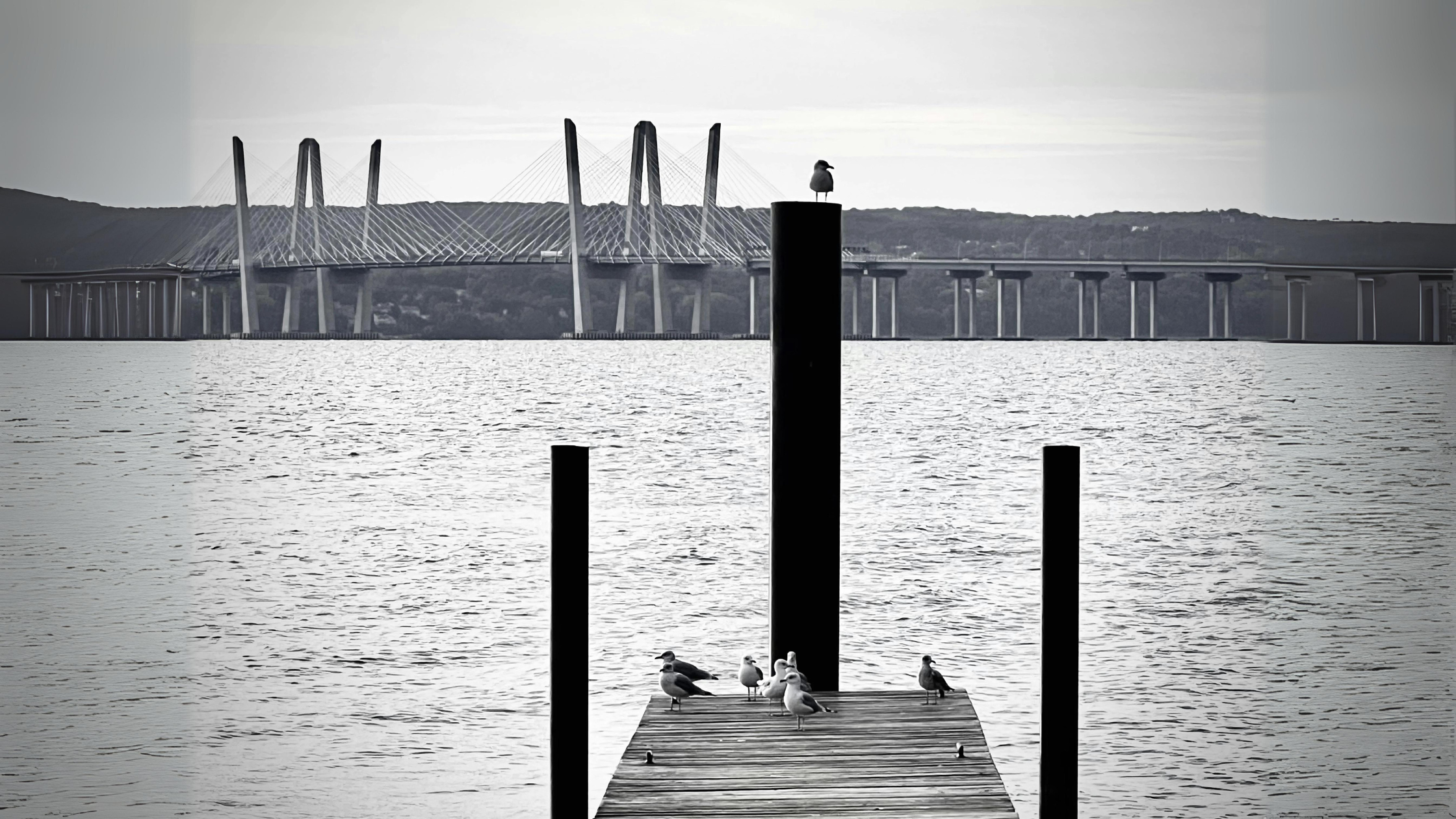 Embrace life’s changes and new beginnings with a move from Brooklyn to Nyack. Reflecting on milestones, both personal and professional, this story reminds us how quickly life can shift perspectives, opening doors to fresh opportunities.