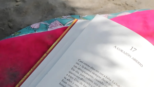Divorce is more than a legal process; it’s a life transition that unfolds over time, affecting emotional, physical, and social aspects of our lives. Discover how divorce leads to a new chapter.