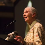 Jane Goodall at Mizzou Arena (facing left)