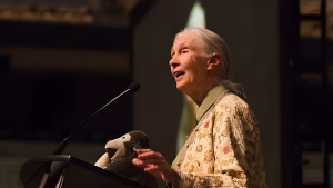 Jane Goodall at Mizzou Arena (facing left)