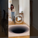 A woman laughs as her cat cautiously approaches a floor sticker designed to look like a deep hole, creating a visual illusion.