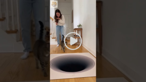 A woman laughs as her cat cautiously approaches a floor sticker designed to look like a deep hole, creating a visual illusion.